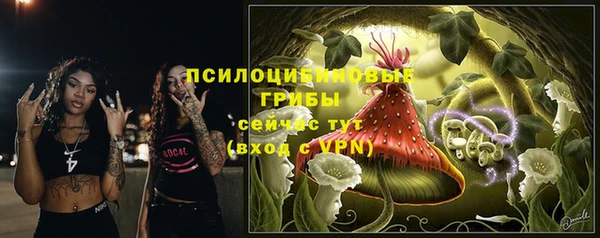 эйфоретик Балахна