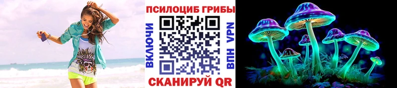Галлюциногенные грибы Psilocybine cubensis  blacksprut ССЫЛКА  Зеленогорск 