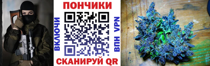 продажа наркотиков  кракен ССЫЛКА  Бошки марихуана Ganja  Зеленогорск 